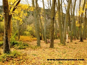 Otoño en Cuenca