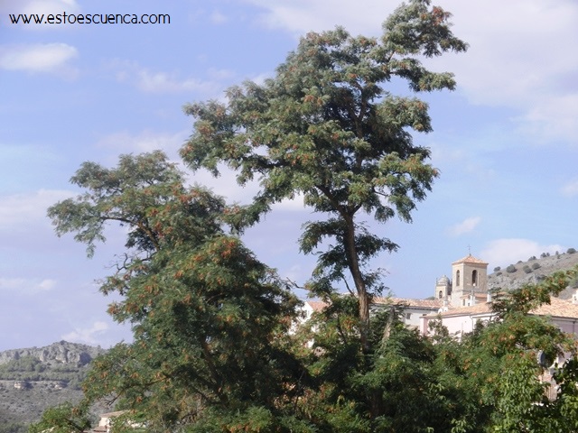 Geocaching en Cuenca_portada